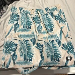 men’s hurley swim trunks